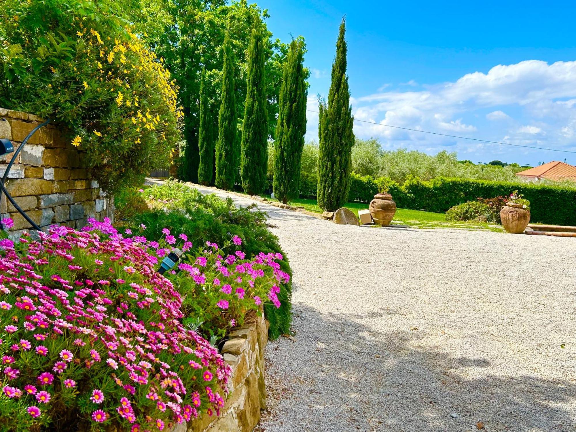 Casale Il Sauco Villa Santa Maria di Castellabate Szoba fotó